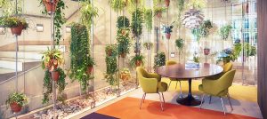 Biophilic Design: The Benefits Of Nature In Office Design